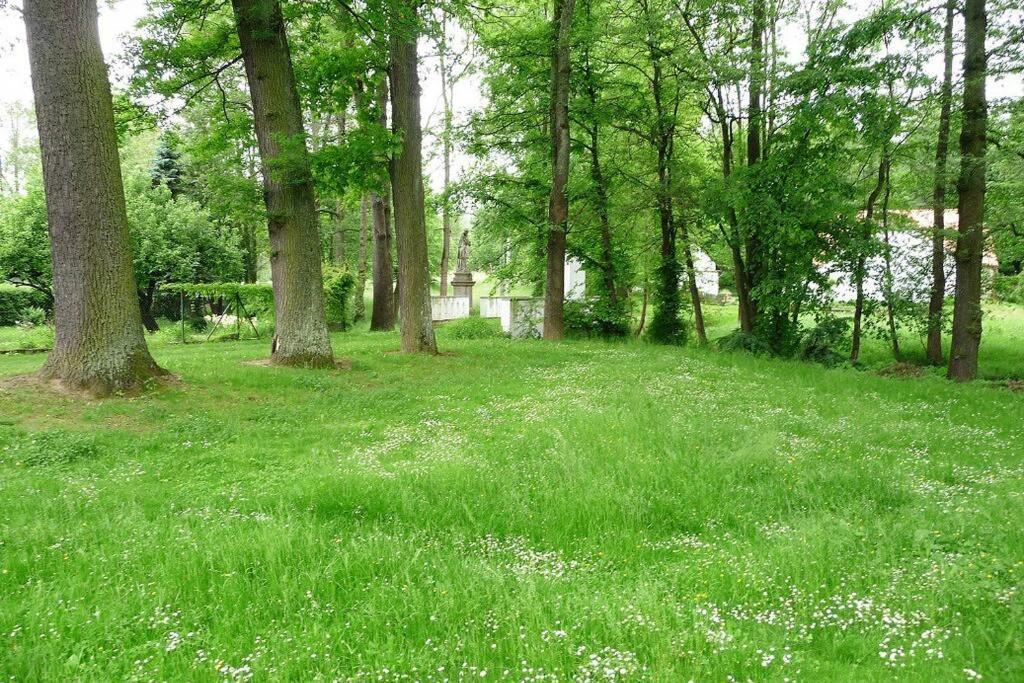Chalupa U Kolcavy Volenice  Экстерьер фото